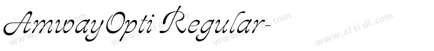 AmwayOpti Regular字体转换